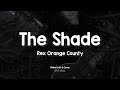 Rex Orange County - The Shade (Lyrics & Cover)