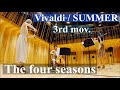 Vivaldi /「SUMMER」3rd movement   The four seasons ヴィヴァルディ作曲「四季」より「夏」第3楽章