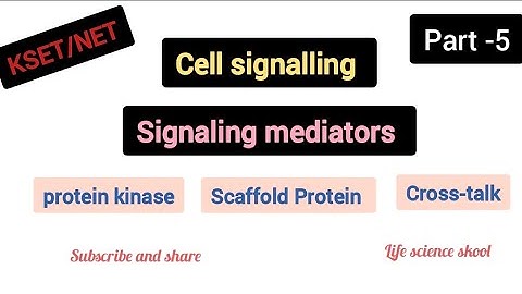 Signaling mediators/Protein Kinase/#Scaffold Protein/Cross talk #kset #lifescience #csirnet
