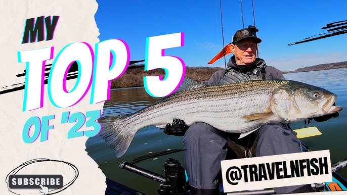 Top 5 Striped Bass Spring Trolling Lures (Hard Plastic) 