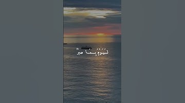 #تلاوة_مؤثرة #تلاوة_خاشعة #إسلام_صبحي #حالات_واتساب #صوت_يريح_القلب #قرآن #صلوا_علي_النبي #😔♥️🇵🇸✨