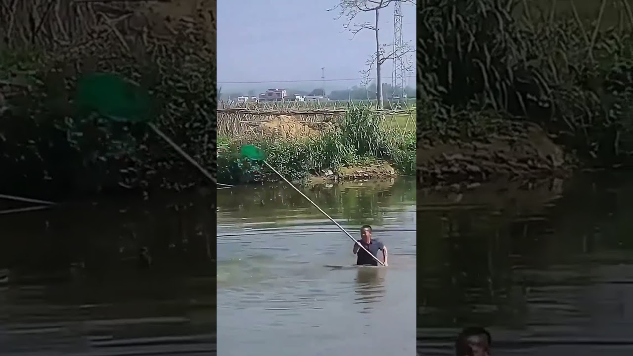 The Man chase The Duck In Water 