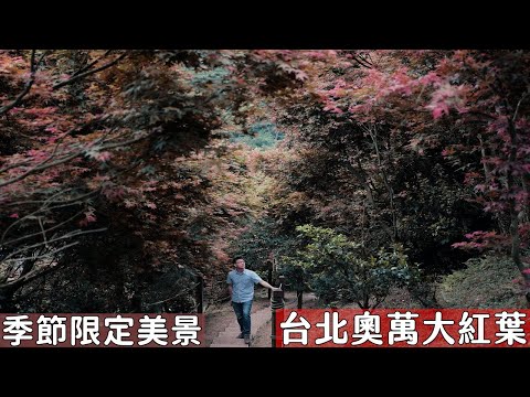 2021台北奧萬大紅葉來了！陽明山季節限定美景，不用跑到深山就可以看到一大片紅葉