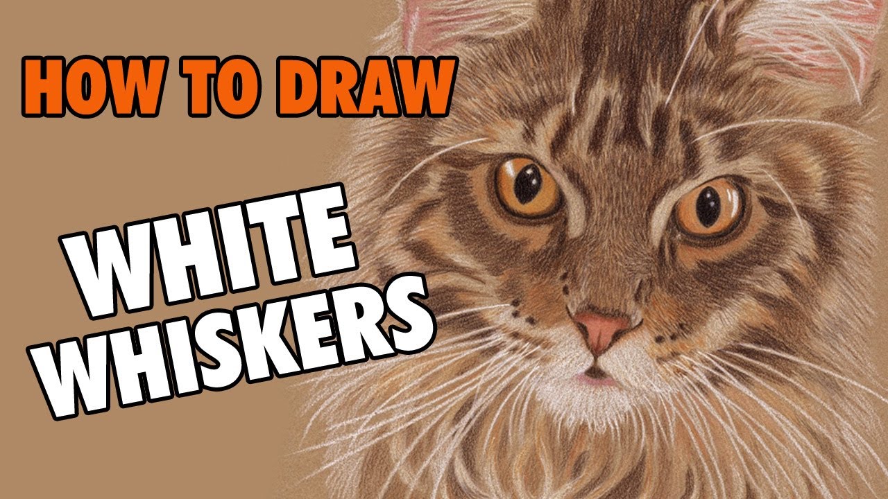 Learn How To Draw White Cat Whiskers  on Colored Paper 