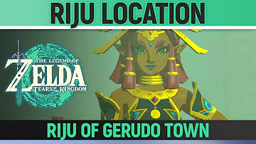 Zelda: Tears of the Kingdom - North Gerudo Ruins Riju Location - Riju of Gerudo Town Quest