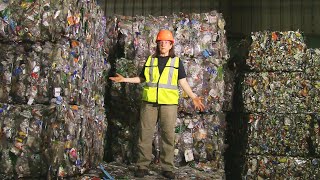 How Recycling Works: Behind the Scenes at the MRF