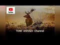 Lagu  seperti rusa rindu sungai mu  penyanyi  gloria trio  toni  ashadi channel