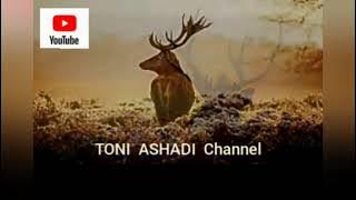 Lagu : Seperti Rusa Rindu Sungai Mu - Penyanyi : Gloria Trio - TONI  ASHADI Channel
