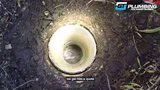 How to remove tree roots from sewer pipe. - GT PLUMBING