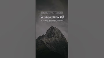 #ماهر_المعيقلي سورة الحشر