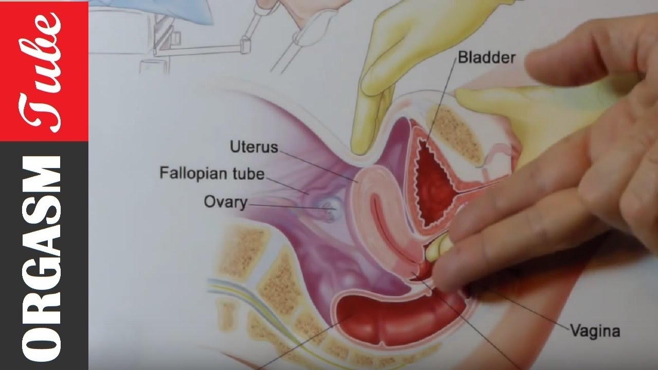 Female Orgasim With G-Spot Stimulation - STEP BY STEP GUIDE