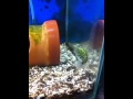 みんな元気!