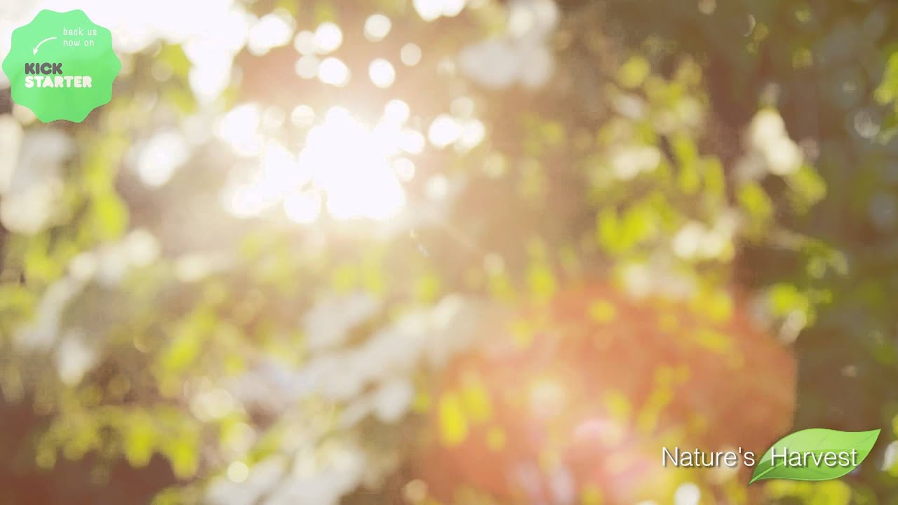 Natures Harvest Kickstarter Video
