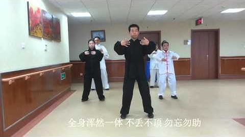 初学站桩秘传道家无极桩、混元桩、浑圆桩、桩功、养生桩完整教学内功心法太极拳培训北京王道荃 高清