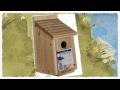 Plans How To Build a Birdhouse Plans How To Build a Birdhouse