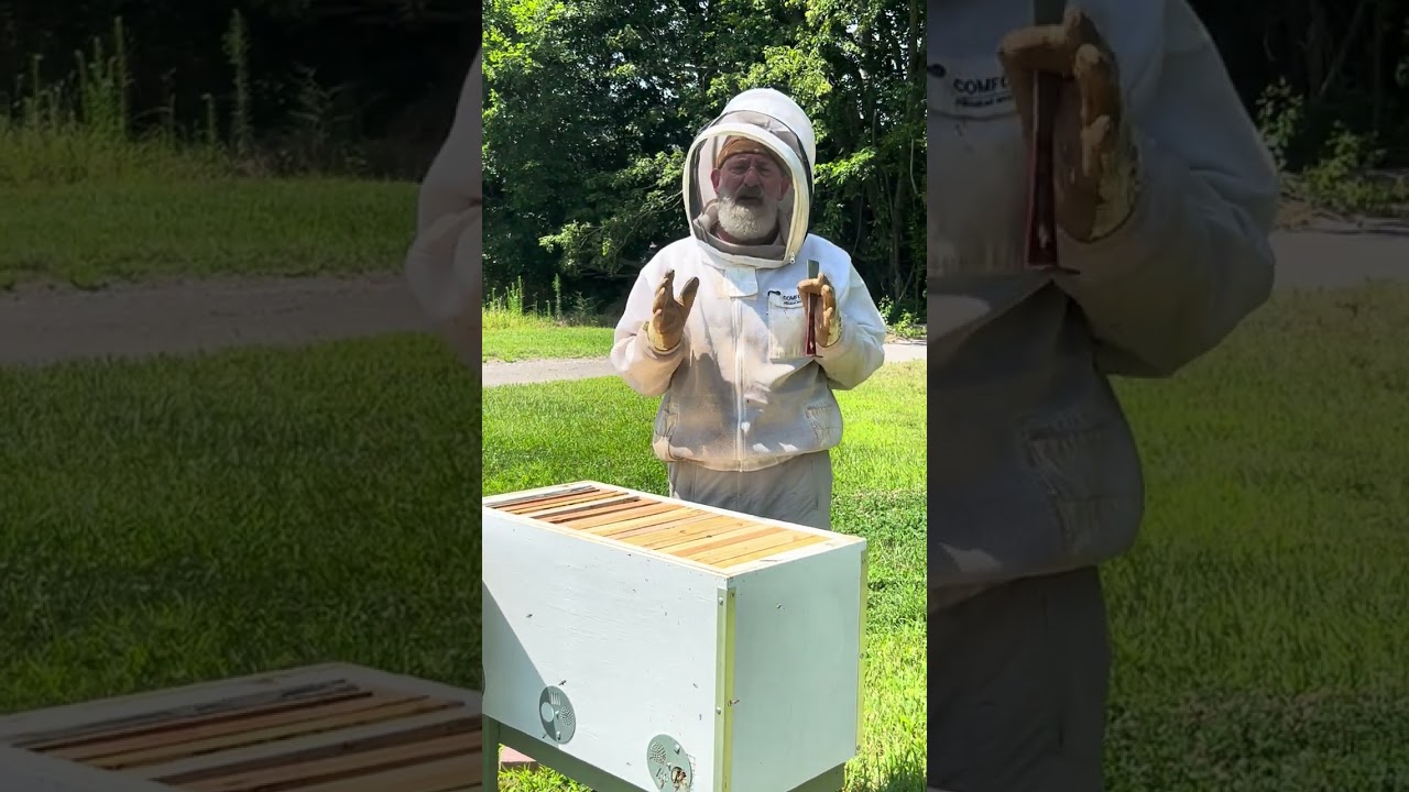 Ask Why:  The Best Thing a Backyard Beekeeper Can Do for His Bees!