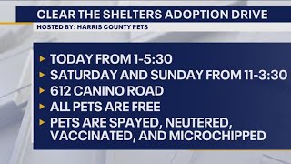 Clear the shelters animal adoption drive