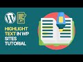How to highlight text in wordpress websites  blogs simple  free beginners guide