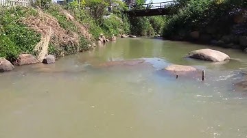 The Suối -  Đất Nền Lộc An, Tp Bảo Lộc, Lâm Đồng