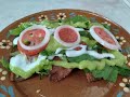 Enchiladas tipo Potosinas