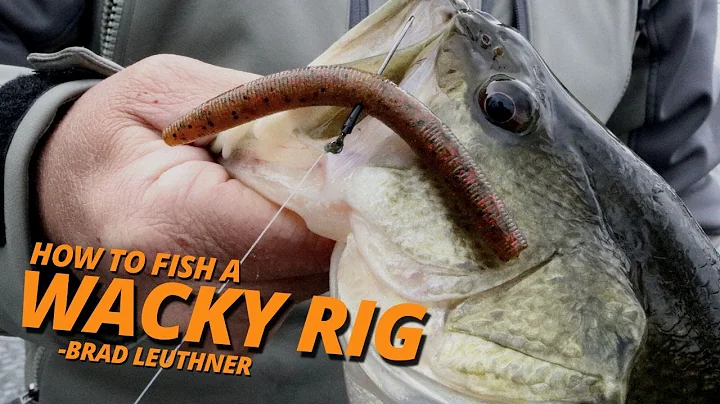 How to Fish a Wacky Rig - Brad Leuthner