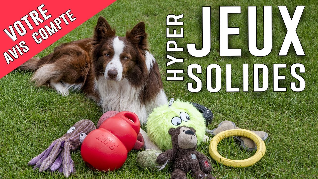 jouet solide pour gros chien