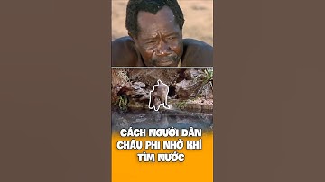 Cách Người Châu Phi Nhờ Khỉ Để Kiếm Nước - They TRICK Monkeys to Find Water?!