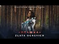 БЕКСТЕЙДЖ ЗЙОМКИ КЛІПУ ZLATA OGNEVICH Пташка OST Конотопська Відьма У КІНО З 22 08 24 БЕКСТЕЙДЖ ЗЙОМКИ КЛІПУ ZLATA OGNEVICH Пташка OST Конотопська Відьма У КІНО З 22 08 24