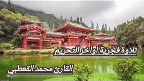 تلاوة فجرية اواخر سورة التحريم بالمقام الصنعاني  القارئ محمد القعطبي