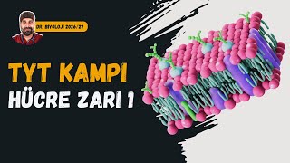 Hücre Zarında Madde Alışverişleri 1.Kısım Dr. Biyoloji Dönem 2026 - 2027