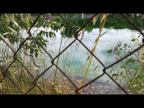 Vídeo: No Va Arribar A Les Granotes. Rotten Creek Fishing
