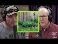 Joel Salatin on the Potential of Backyard Agriculture