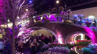 Philadelphia Flower Show March 2017 theme Holland