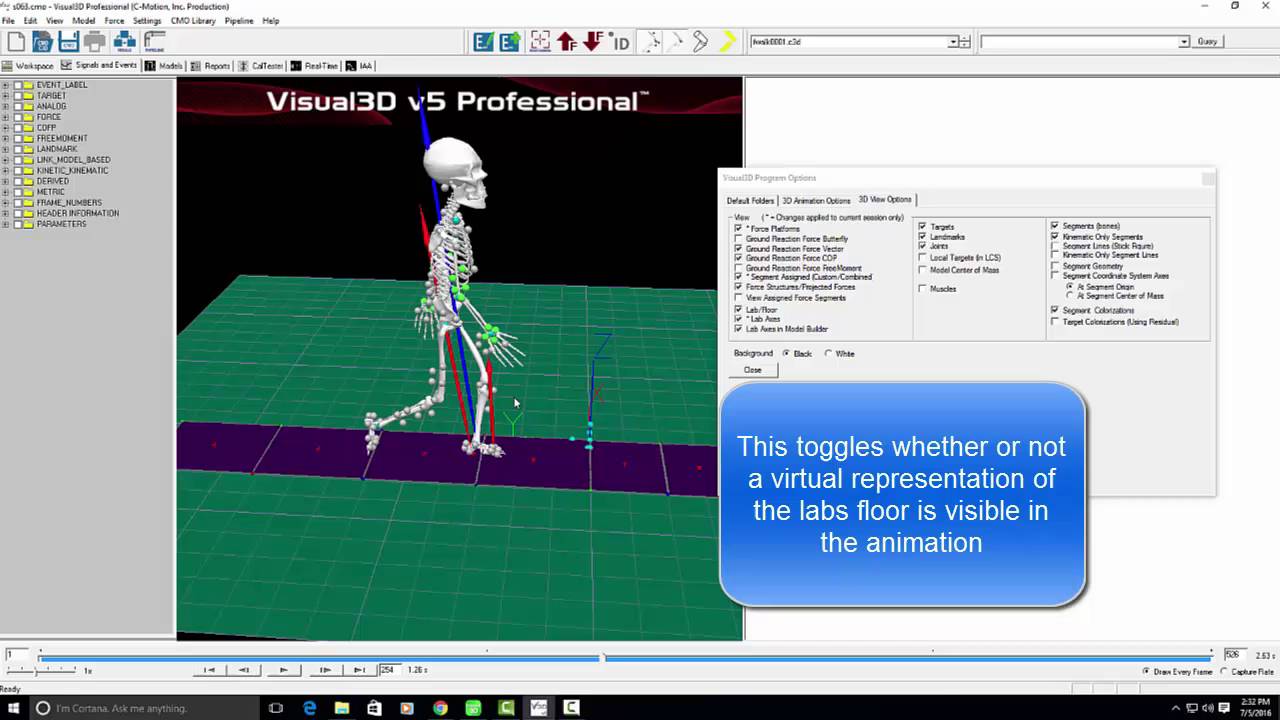 Visual3D View Options Demonstration - YouTube