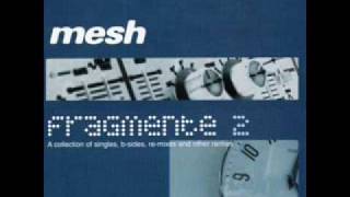 Mesh - The Purest People