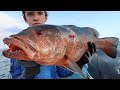 Cubera Snapper Catch Clean Cook (Spearfishing)