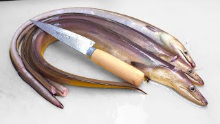 This eel is a very good cooking ingredient for stamina.  purple pike conger.