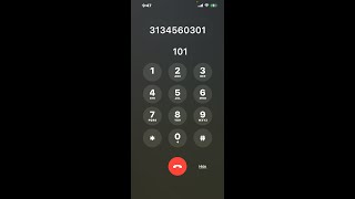 Allen Park Michigan DMV Phone Number - How To Reach A Live Person screenshot 1