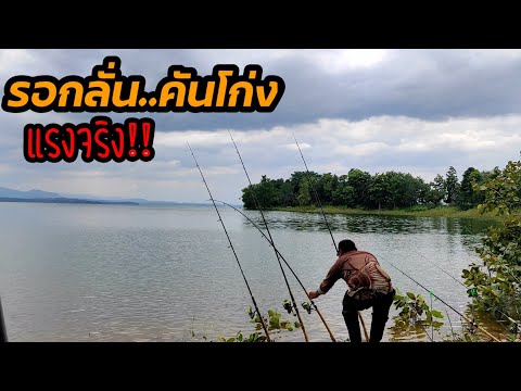 วีดีโอ: ที่ไหนดีกว่าที่จะตกปลาในแม่น้ำโชชา