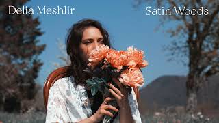 Delia Meshlir - Satin Woods (Official Audio)