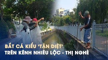 Nạn ‘tận diệt’ cá trên kênh Nhiêu Lộc - Thị Nghè: ‘Đá chọi ao bèo’