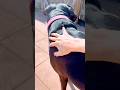 BOXER PUPS 4th BIRTHDAY #shorts