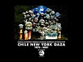 Jeff Schlanger: CHILE•NEW YORK•GAZA notification 1