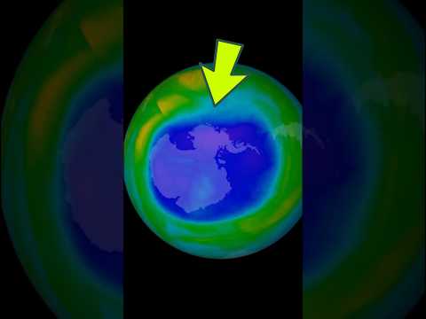 What Really Happened To The Ozone Layer?