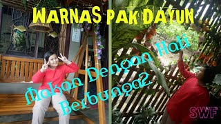 Warung Makan Ini Penuh Dengan Bunga, Warnas Pak Dayun..