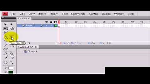 Adobe Flash CS4 : Introduction to Flash