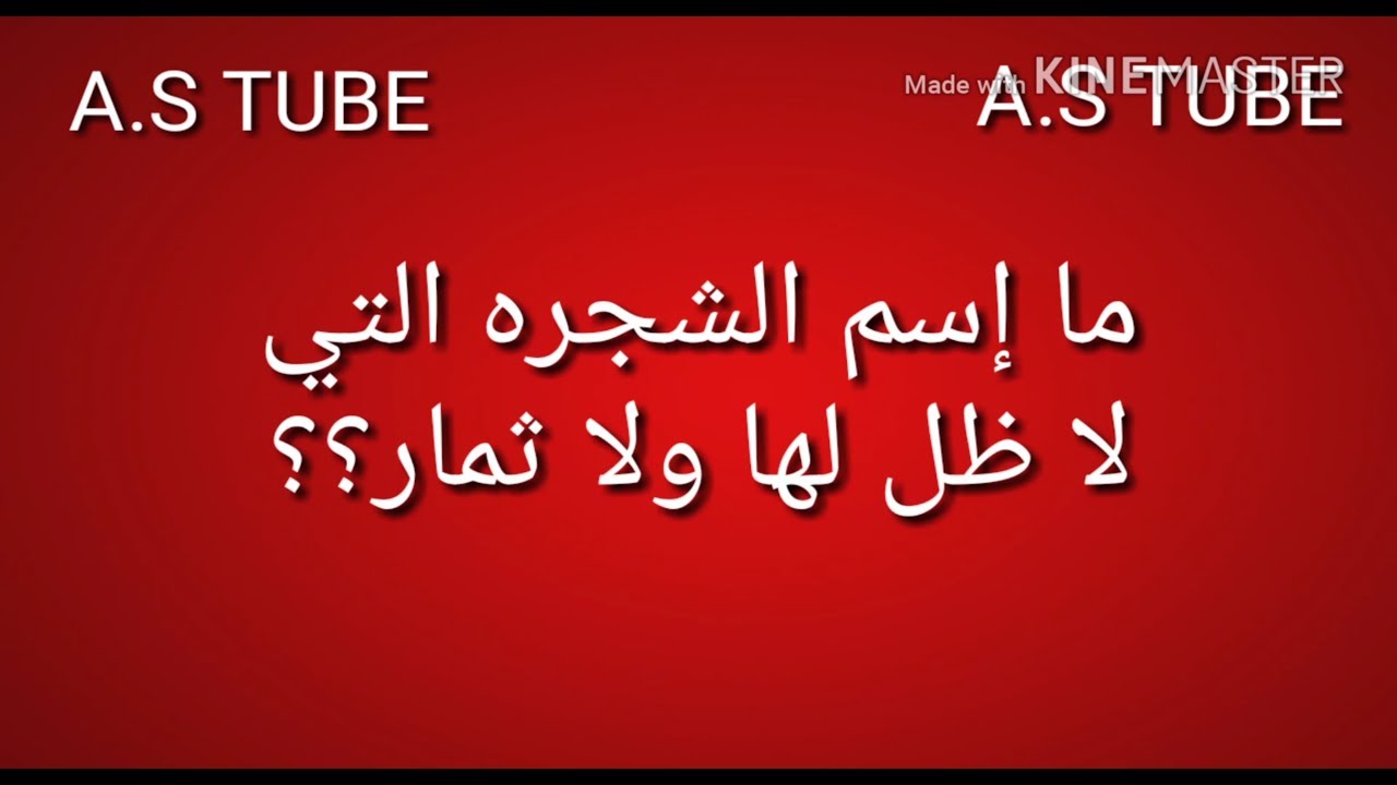 ما إسم الشجره التي لا ظل لها ولا ثمار Youtube