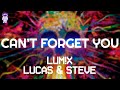 Can T Forget You LUM X Lucas Steve Lyrics mp3