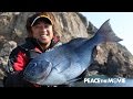 PEACE THE MOVIE #40「釣っても釣り足りません」四国地方 高知県・鵜来島の旅(前編)/平和卓也(797)