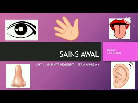 Video: Dari Sudut Sains: Apa Yang Tertulis Di Wajah Anda? - Pandangan Alternatif